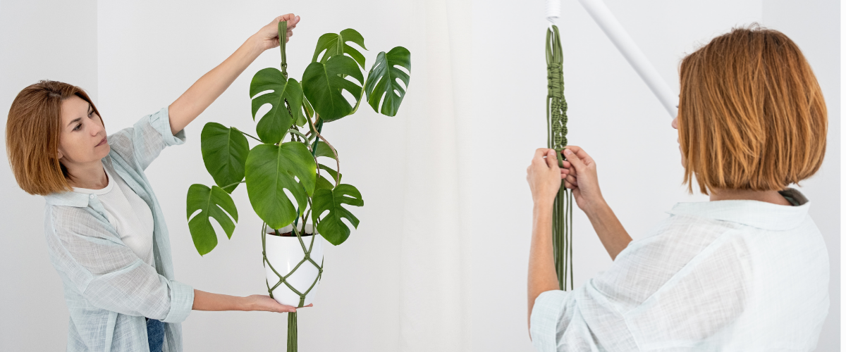 How Do You Start a Macrame Plant Hanger Without a Ring